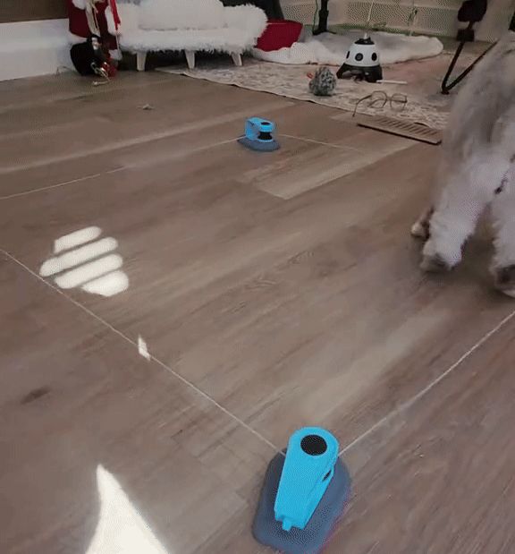 Elivara™ Interactive Cat Toy
